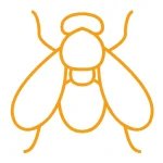 mouches </br>  