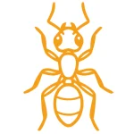 fourmis </br>  